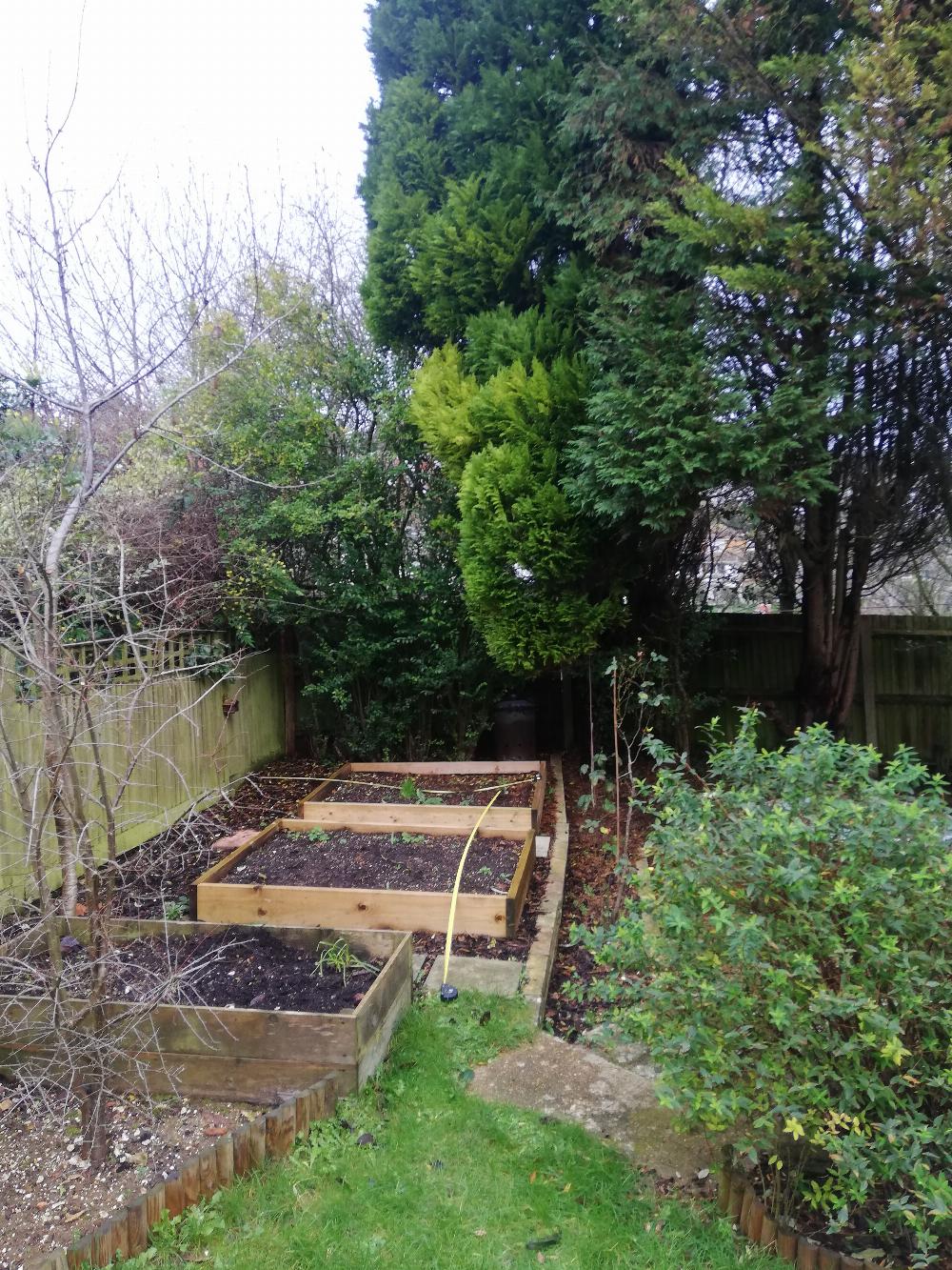 A photo of my back garden with two raised beds