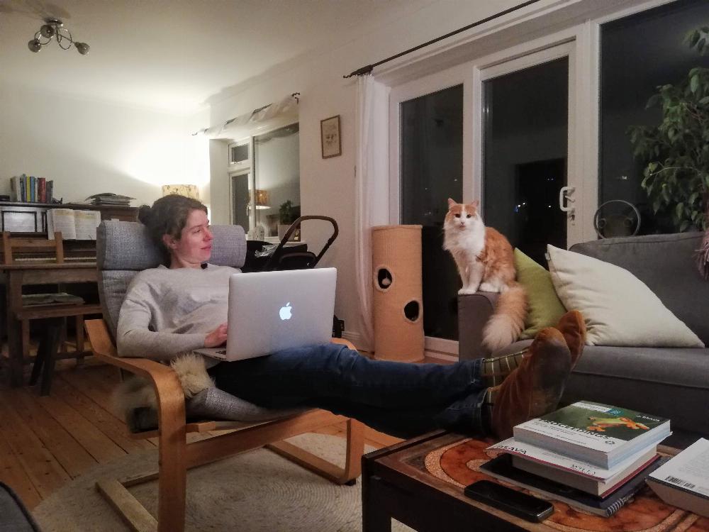 Joana on a chair, Henry on the arm rest of a sofa.