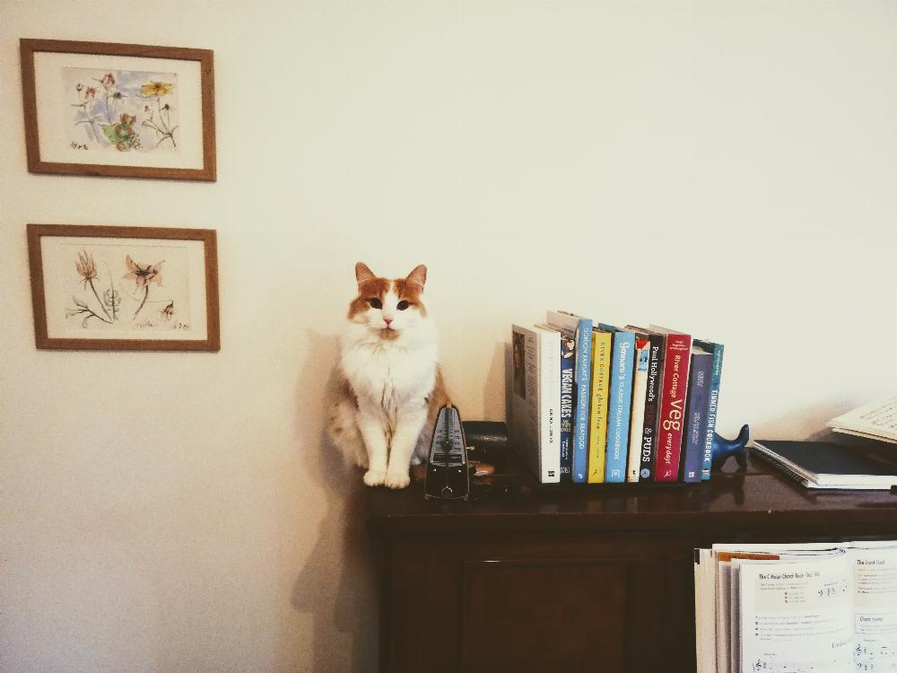 Henry sitting on a piano.
