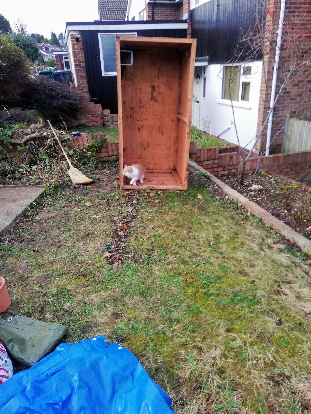 Henry inside a large shed-like box in front garden.