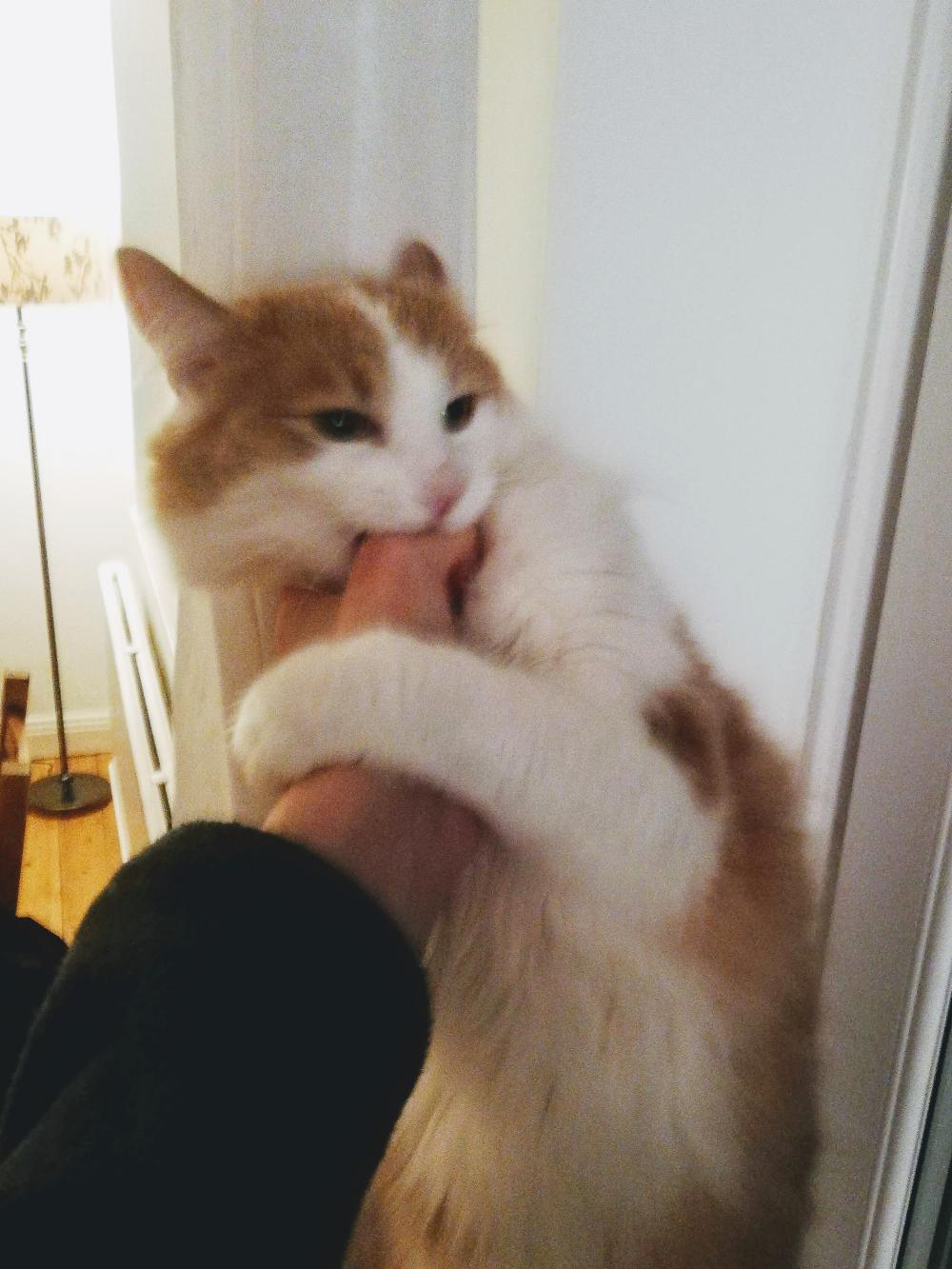 Henry biting my thumb.
