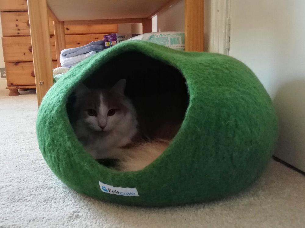 Henry in a felt cave.