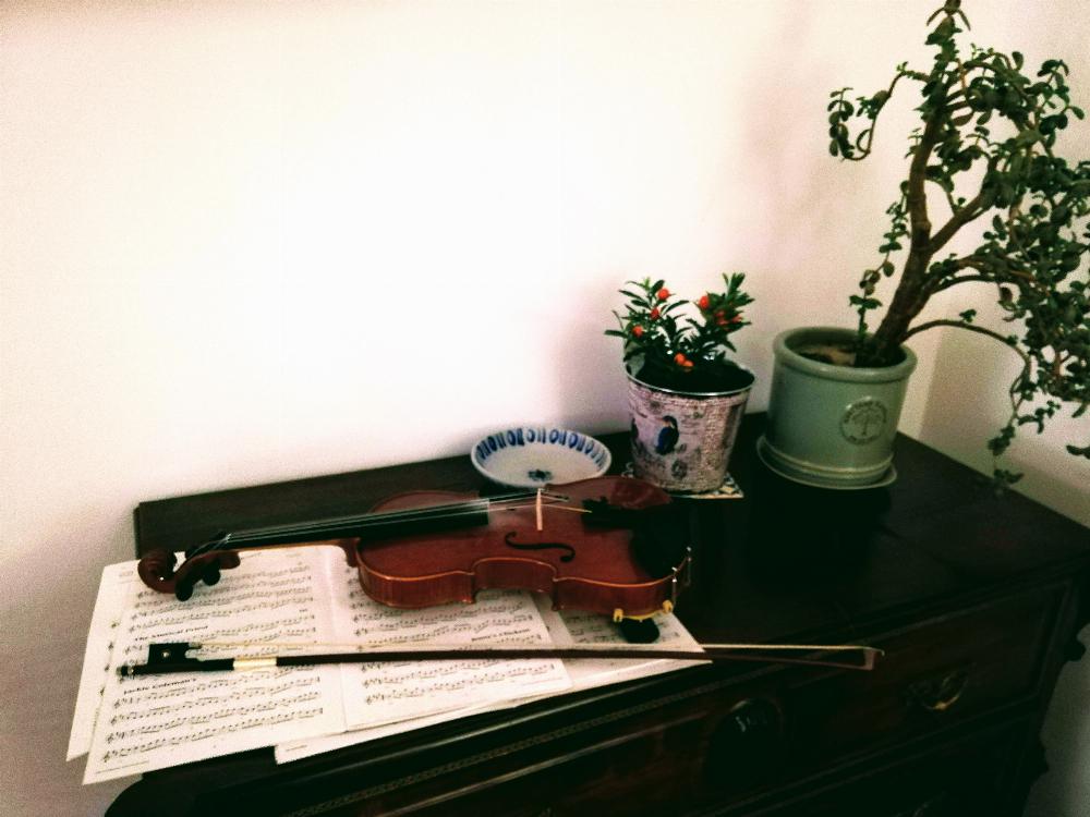 Violin, sheet music and plants on chest of drawers.