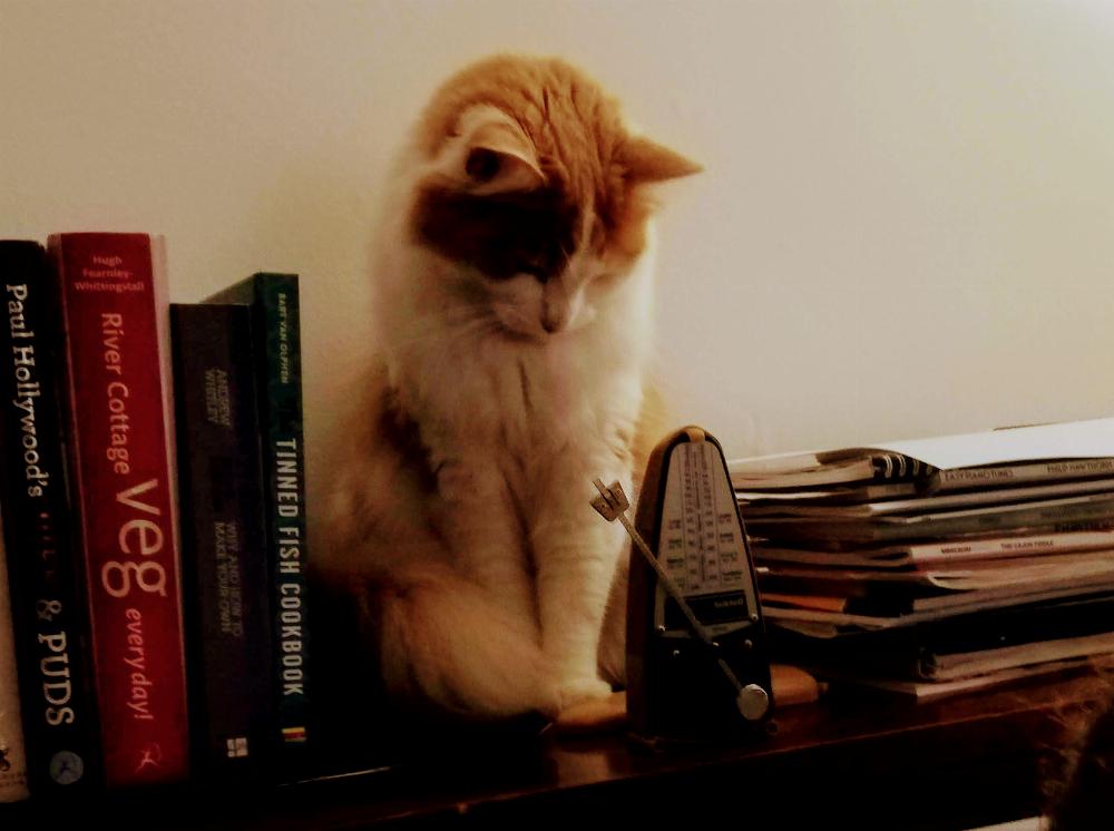 Henry observing the metronome.