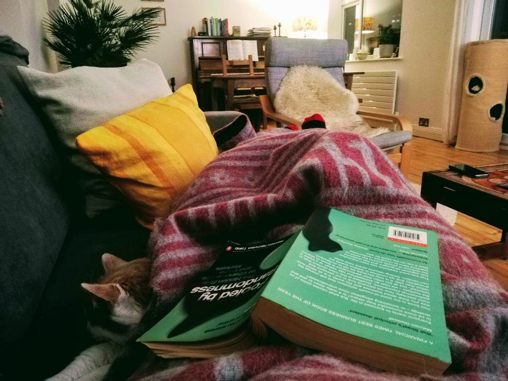 First person perspective of living room with book and cat.