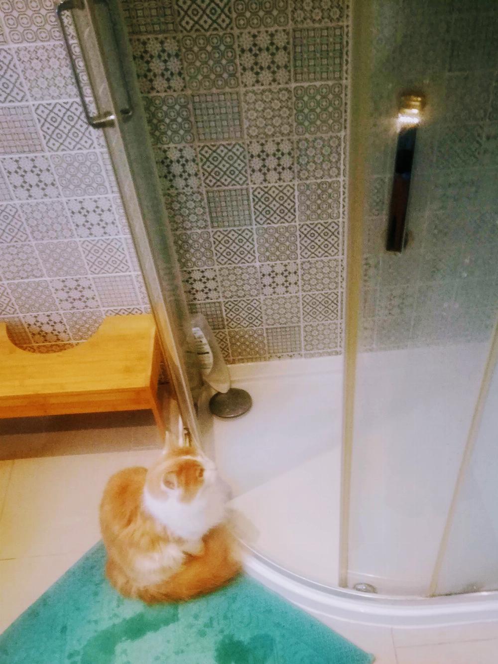 Henry watching the shower.