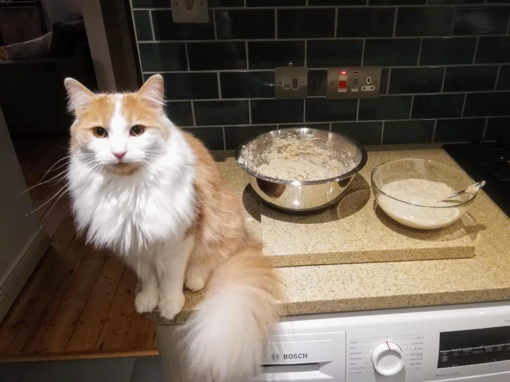 Henry sitting next to two bowls of dough.