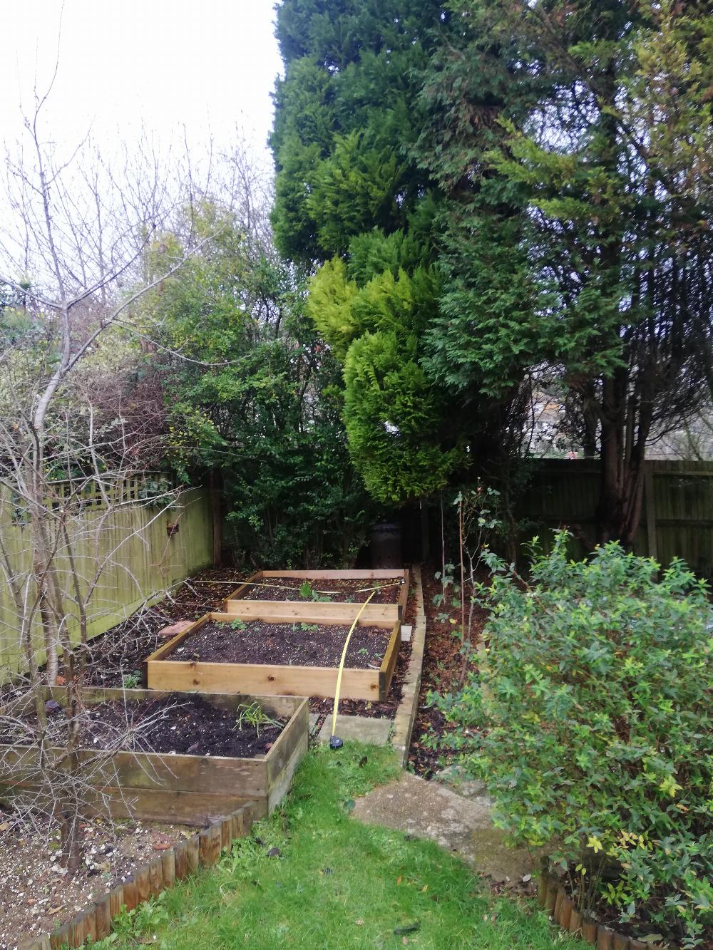 Back garden plot of land